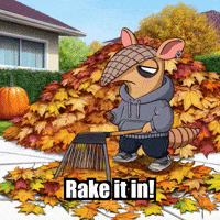 Fall Autumn GIF by Chillo Dillo