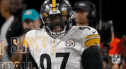 Pittsburgh Steelers Football GIF by NFL