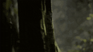 GIF by Wayward Pines