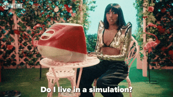 Does Ziwe Line in a Simulation?