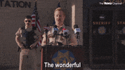 Reno 911 GIF by The Roku Channel