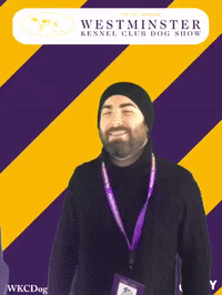 wkcdogshow GIF by Westminster Kennel Club
