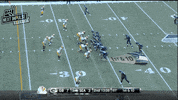 touchdown wilson GIF