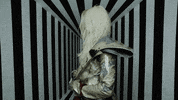 music video GIF by Bebe Rexha