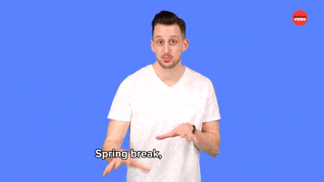 Spring Break GIF by BuzzFeed