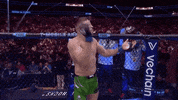 Mixed Martial Arts Sport GIF by UFC