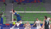 Volleyball Smile GIF