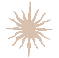 Sol Estrella Sticker by Leohestudio