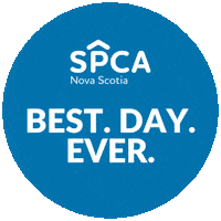 Cats Adopt Sticker by Nova Scotia SPCA
