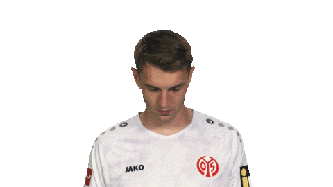 Look Up Mainz 05 Sticker by Bundesliga