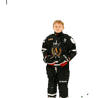 alfahockey хоккей хоккеист альфа хоккейспб Sticker