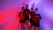 Wisconsin Volleyball GIF by Wisconsin Badgers