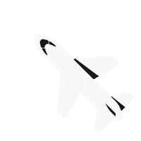 Travel Flying Sticker by Surfshark