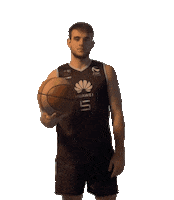 Ball Zbk Sticker by cbzentro