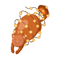 Celebrate New Year Sticker