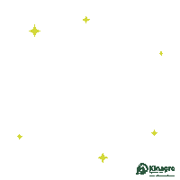 Stars Sparkle Sticker by Kinagro
