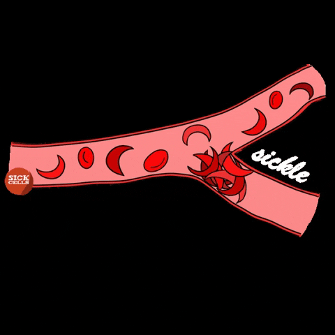 sickcells giphygifmaker sickle cell sickle cell disease sickcells GIF