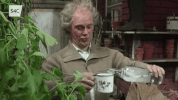 teledu teulu'r mans GIF by S4C