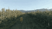 harryanddavid happy excited running oregon GIF