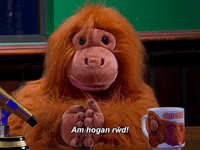 carwpiws pump cymraeg s4c gareth GIF