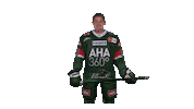 aevpanther celebration hockey jubel celly Sticker