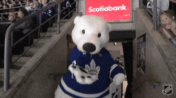 Happy National Hockey League GIF by NHL
