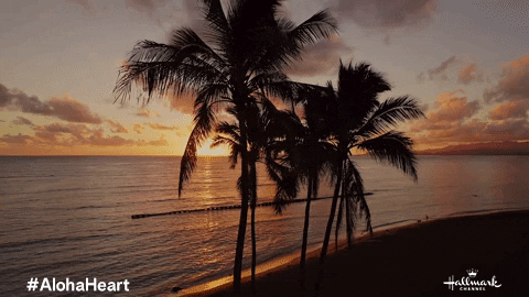 Hawaii Sunset GIF by Hallmark Channel