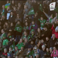 Womens6Nations fan fans womens six nations GIF