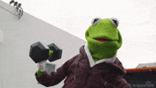 Kermit The Frog Exercise GIF by Muppet Wiki