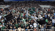 serie a soccer GIF by U.S. Sassuolo Calcio