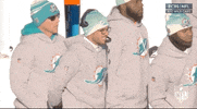 Miami Dolphins Football GIF by NFL