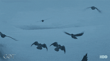 gameofthrones episode 5 game of thrones hbo season 7 GIF