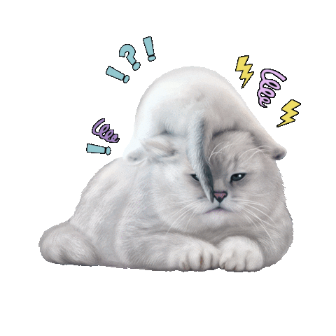 Cat Britishcat Sticker by British cats cattery and Apollo cat.