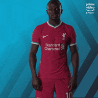 Premier League Football GIF by Prime Video