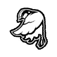 sparrow_sport_club giphygifmaker sparrow sparrowsportclub Sticker