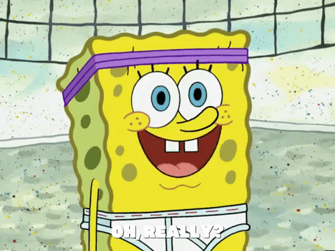 season 6 porous pockets GIF by SpongeBob SquarePants