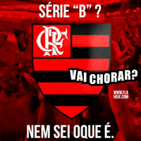 Fla Flu Vai Chorar GIF