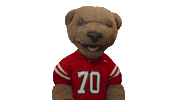 cornell university touchdown Sticker