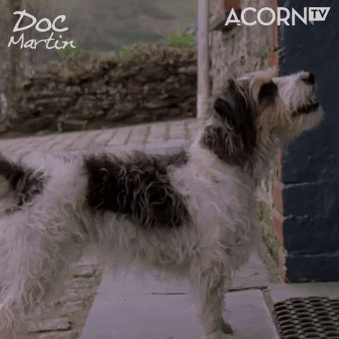 Happy Doc Martin GIF by Acorn TV
