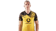 Borussia Dortmund Football Sticker by Bundesliga