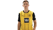 Borussia Dortmund Dj Sticker by Bundesliga