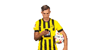 Celebrate Borussia Dortmund Sticker by Bundesliga