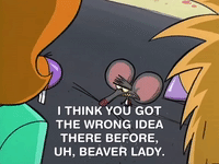 nickrewind nicksplat angry beavers GIF