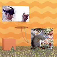 michaelmarczewski gaming technology vr squirrel GIF