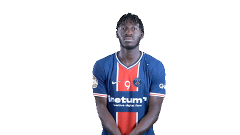 Happy France Sticker by Paris Saint-Germain Handball