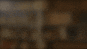 Wundersaar wundersaar cg jung GIF
