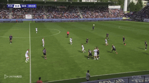 zgiorgos10 giphyupload GIF