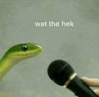 fartedloud  GIF
