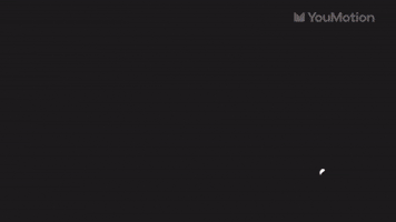 Animated holiday animated elements motion graphics