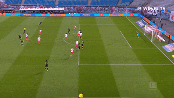 Football Sport GIF by VfL Wolfsburg